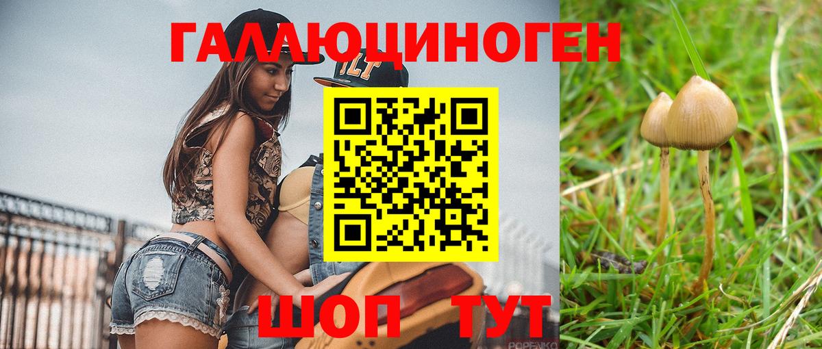 Псилоцибиновые грибы мухоморы Уссурийск